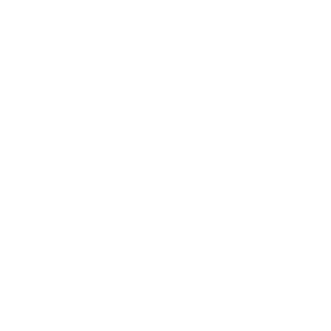 NAV