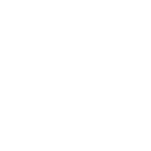 Paynest