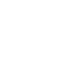 Rezult